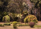 Ceylon